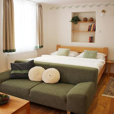 Apartmany Domestika Český Krumlov 外观 照片