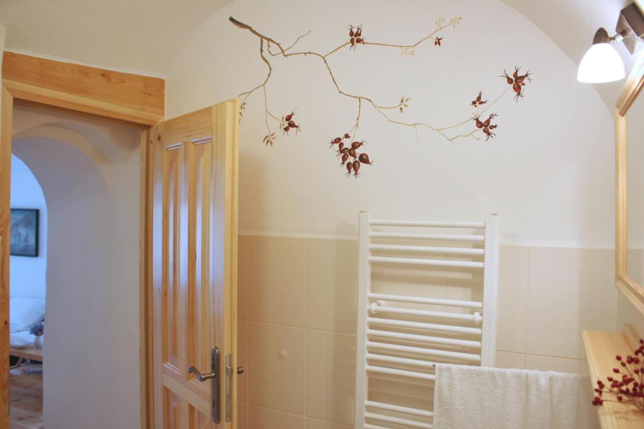 Apartmany Domestika Český Krumlov 外观 照片