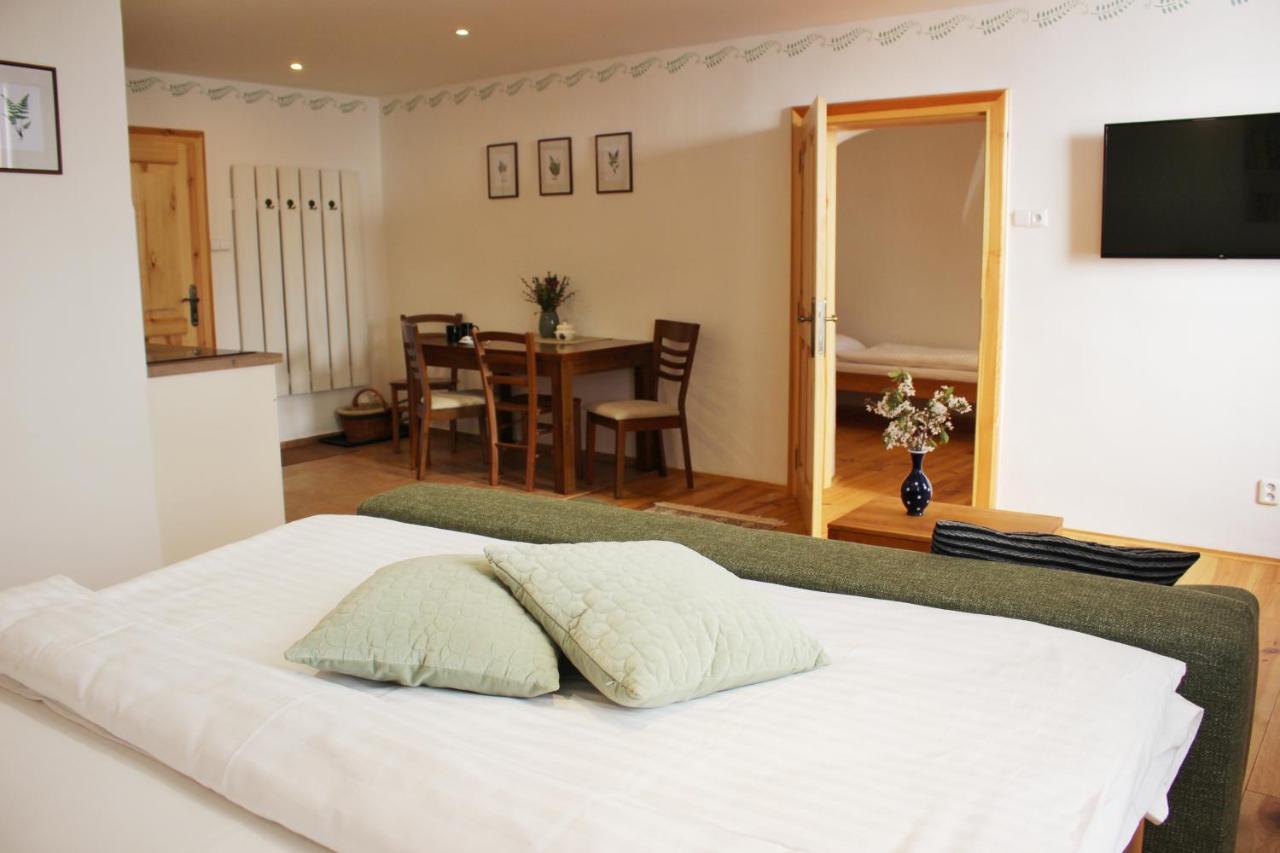 Apartmany Domestika Český Krumlov 外观 照片