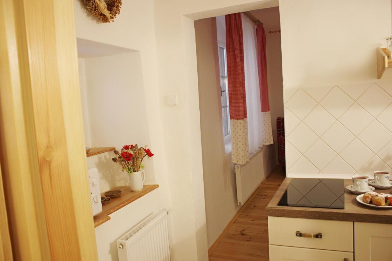 Apartmany Domestika Český Krumlov 外观 照片